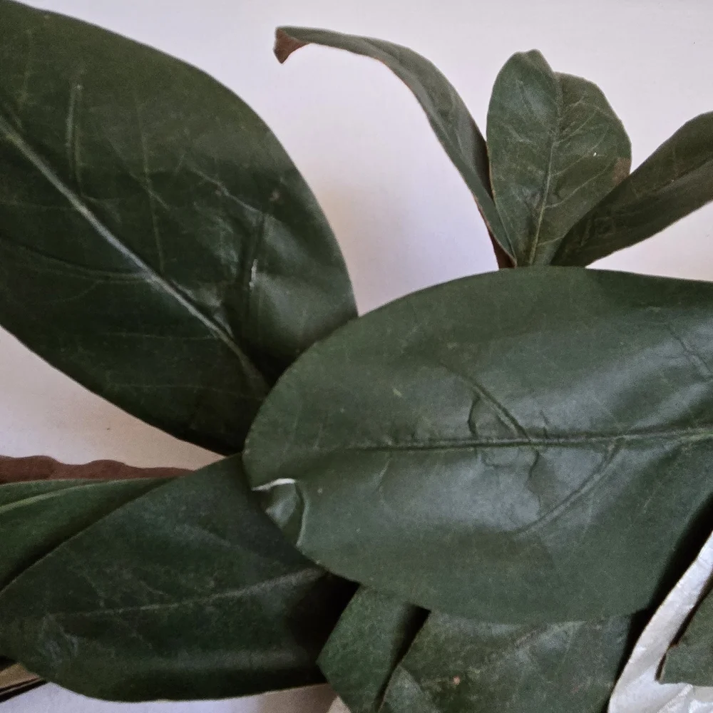 Pottery Barn Magnolia Leaf Garland READ READ READ